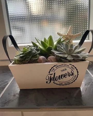 Am Kurpark Appartement