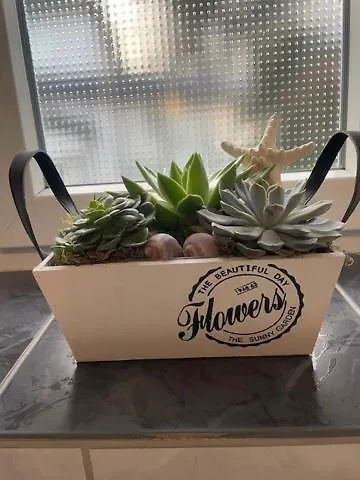 Am Kurpark Апартаменты